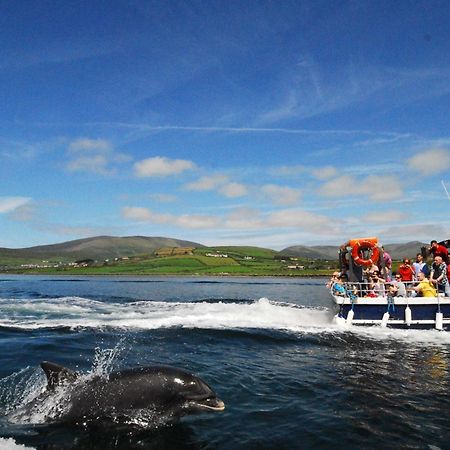Cois Chnoic Holiday Home Dingle By Trident Holiday Homes Dış mekan fotoğraf