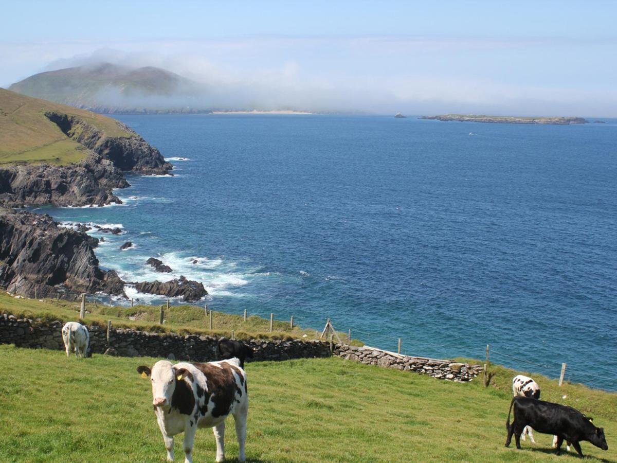Cois Chnoic Holiday Home Dingle By Trident Holiday Homes Dış mekan fotoğraf