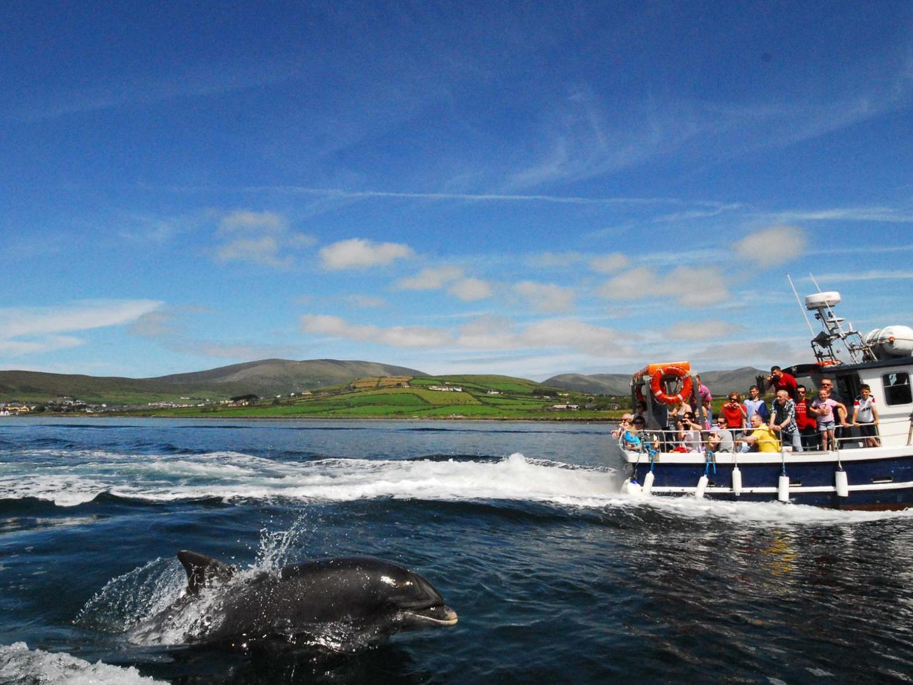 Cois Chnoic Holiday Home Dingle By Trident Holiday Homes Dış mekan fotoğraf